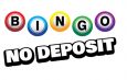 Best Sites For Free Bingo And No Deposit- Know about them 